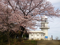 ]铔