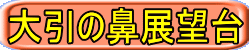 大引の鼻展望台