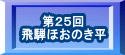 第２５回 飛騨ほおのき平