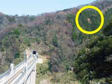 山陰海岸ジオパーク−余部橋梁3